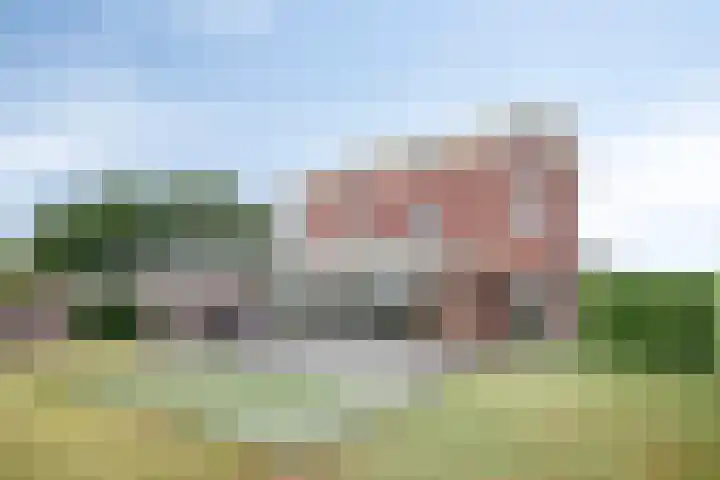 Molenheidseweg 12 Mill thumbnail 55