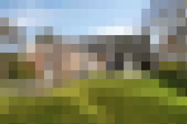 Molenhof 13 Budel thumbnail 26
