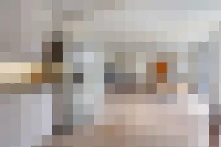 Molenhof 13 Budel thumbnail 9