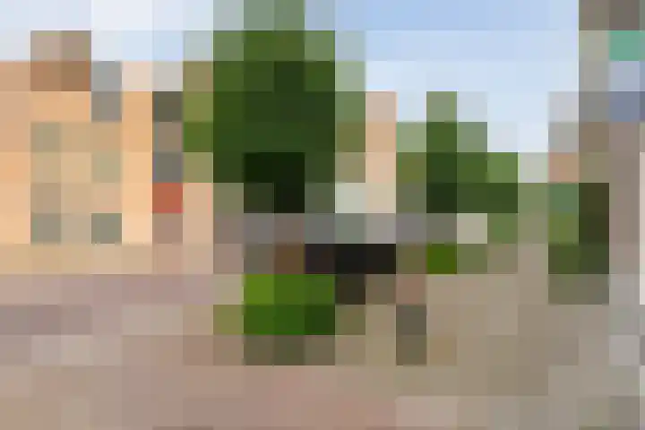 Molenhof 6 Kampen thumbnail 28