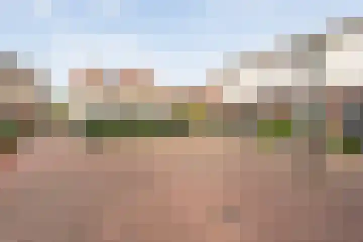 Molenhof 6 Kampen thumbnail 30