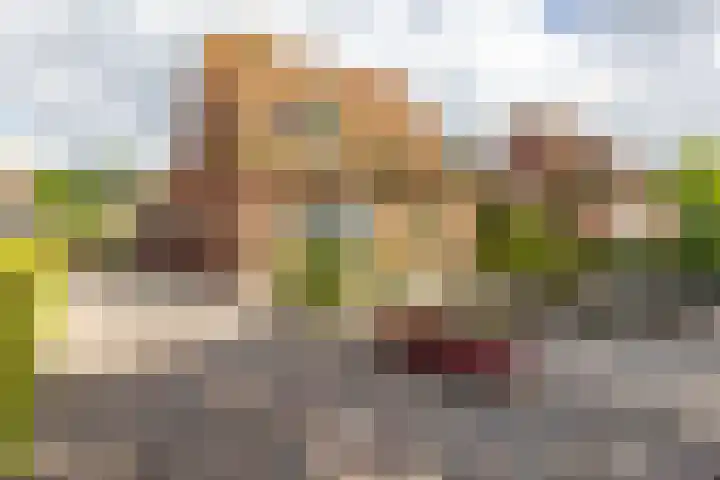 Molenkamp 18 De Groeve thumbnail 10