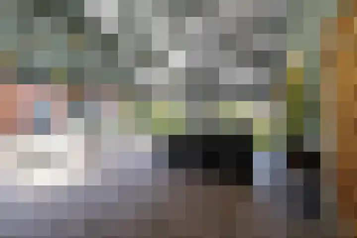 Molenkamp 18 De Groeve thumbnail 15