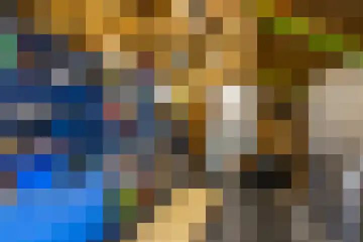 Molenkamp 18 De Groeve thumbnail 16