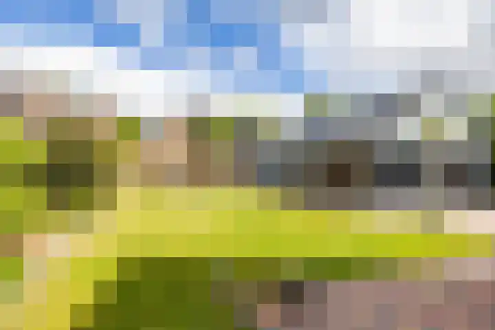 Molenkamp 18 De Groeve thumbnail 21
