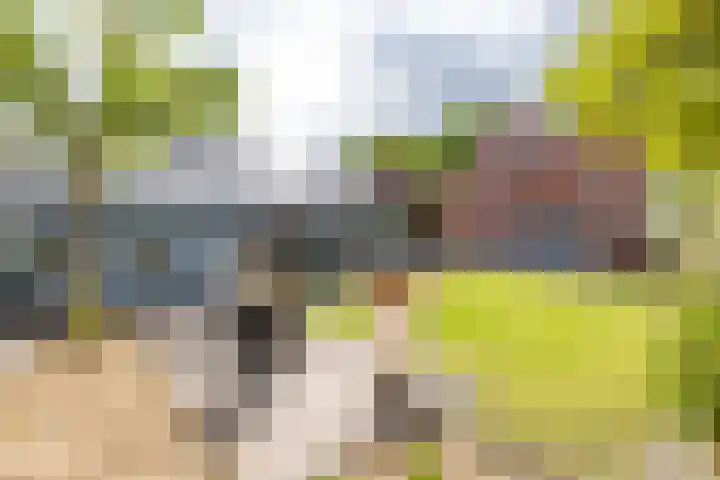 Molenkamp 18 De Groeve thumbnail 23