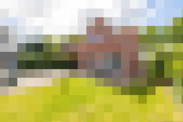 Molenkamp 18 De Groeve thumbnail 24