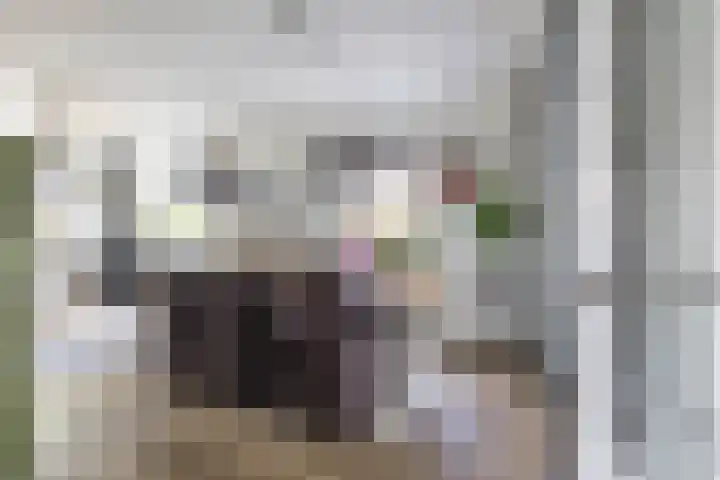 Molenkamp 18 De Groeve thumbnail 32