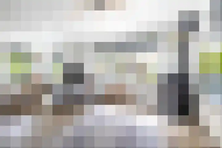 Molenkamp 18 De Groeve thumbnail 33