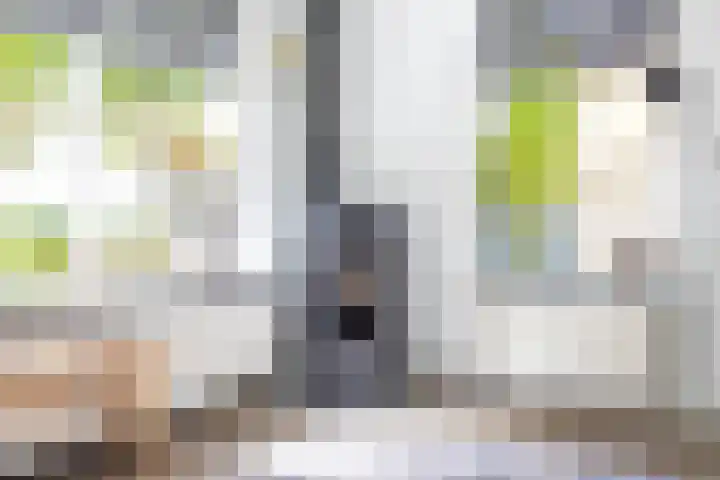Molenkamp 18 De Groeve thumbnail 37