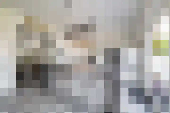Molenkamp 18 De Groeve thumbnail 43