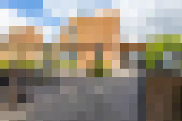 Molenkamp 18 De Groeve thumbnail 69
