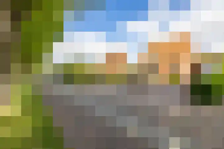 Molenkamp 18 De Groeve thumbnail 7