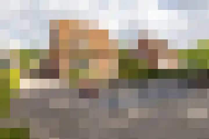Molenkamp 18 De Groeve thumbnail 9