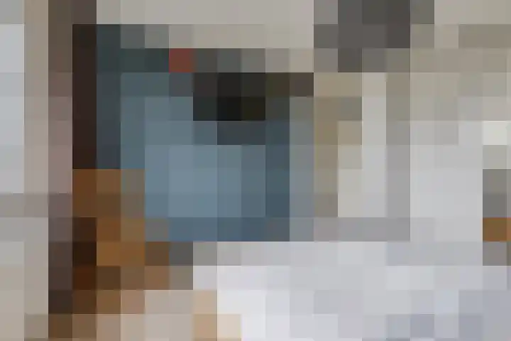 Molenkamp 4 Aalten thumbnail 23