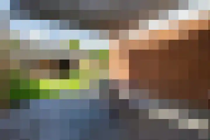 Molenkamp 4 Aalten thumbnail 33