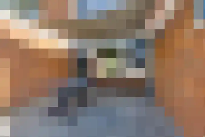Molenkamp 4 Aalten thumbnail 34