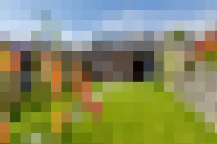 Molenkamp 4 Aalten thumbnail 36