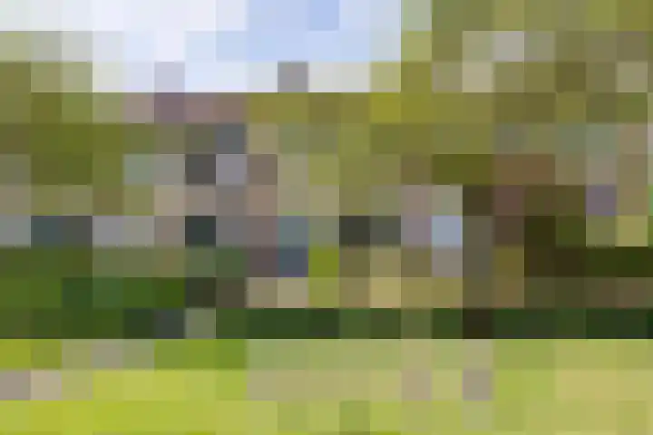 Molenkamp 4 Aalten thumbnail 4