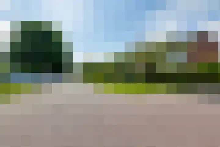 Molenkamp 4 Aalten thumbnail 44