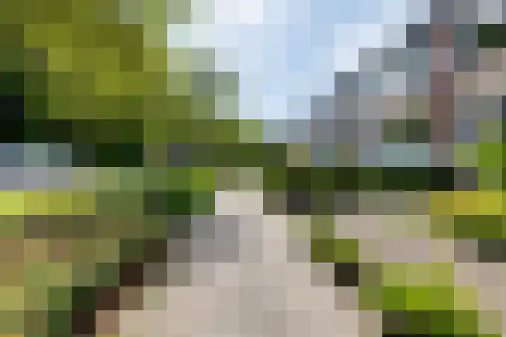 Molenkamp 4 Aalten thumbnail 5