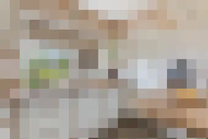 Molenkampsweg 45 Borne thumbnail 11
