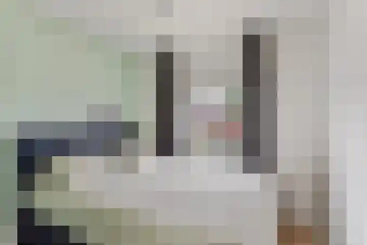 Molenkampsweg 45 Borne thumbnail 13