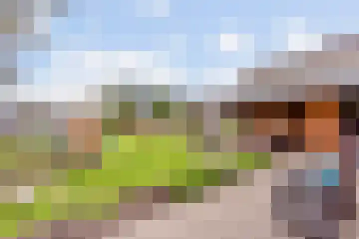 Molenkampsweg 45 Borne thumbnail 17