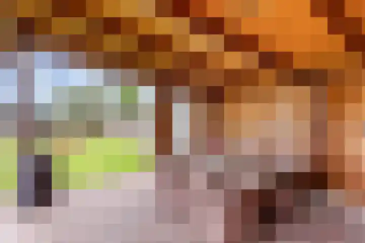 Molenkampsweg 45 Borne thumbnail 18