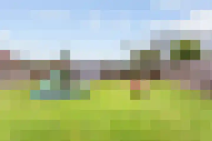 Molenkampsweg 45 Borne thumbnail 19