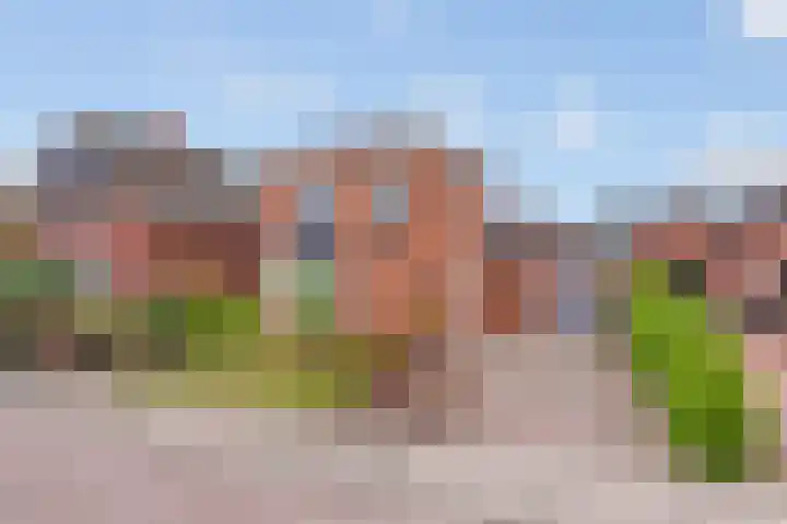 Molenkampsweg 45 Borne thumbnail 25