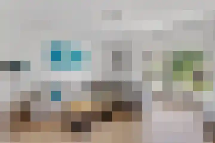 Molenkampsweg 45 Borne thumbnail 6
