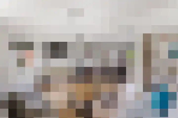 Molenkampsweg 45 Borne thumbnail 8
