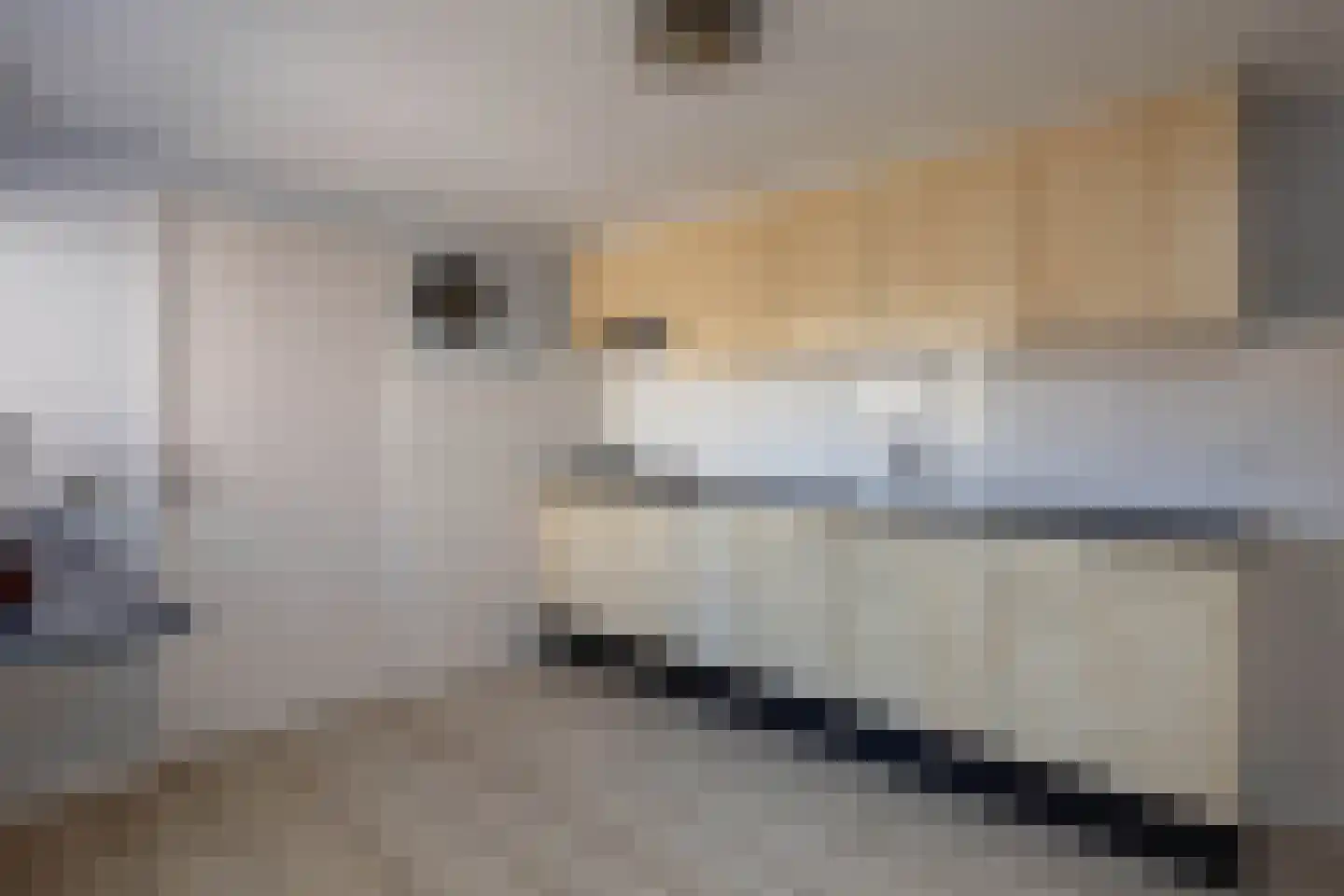 Molenkampsweg 60 Borne thumbnail 11