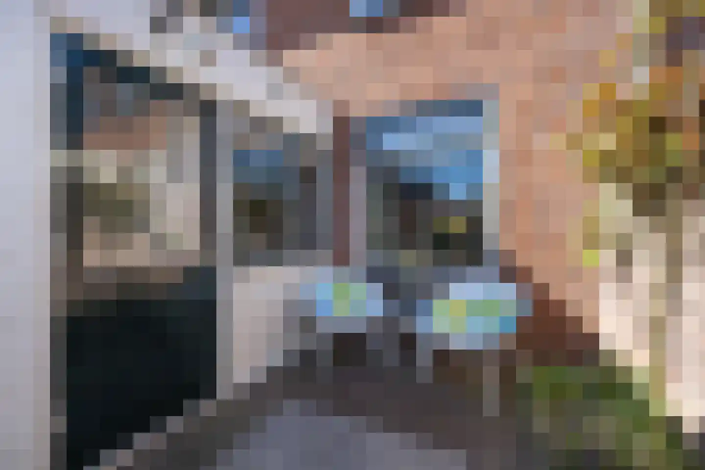 Molenkampsweg 60 Borne thumbnail 22
