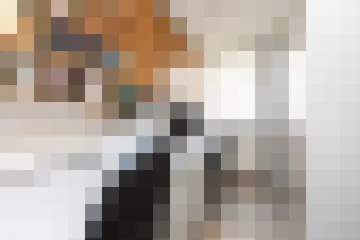 Molenkrite 129 Sneek thumbnail 18