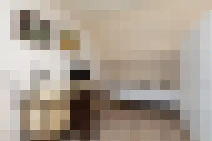 Molenkrite 129 Sneek thumbnail 21