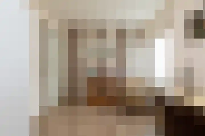 Molenkrite 129 Sneek thumbnail 22