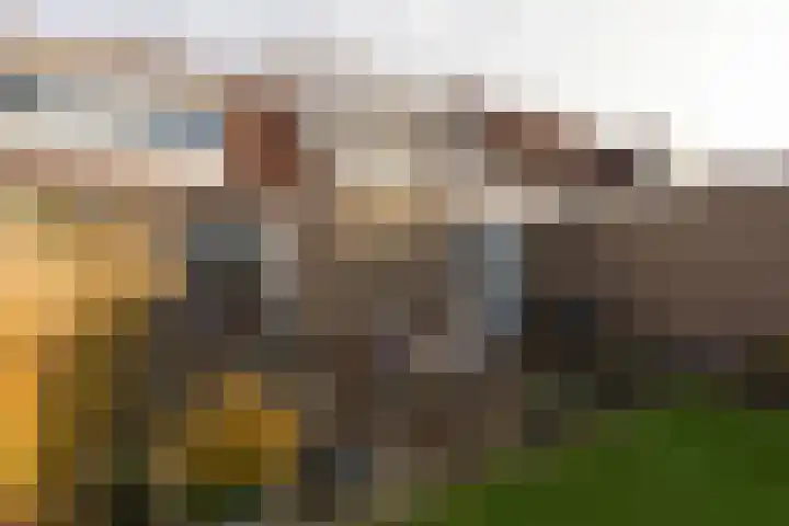 Molenkrite 129 Sneek thumbnail 35