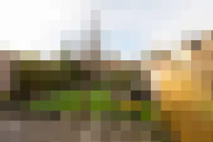 Molenkrite 129 Sneek thumbnail 36