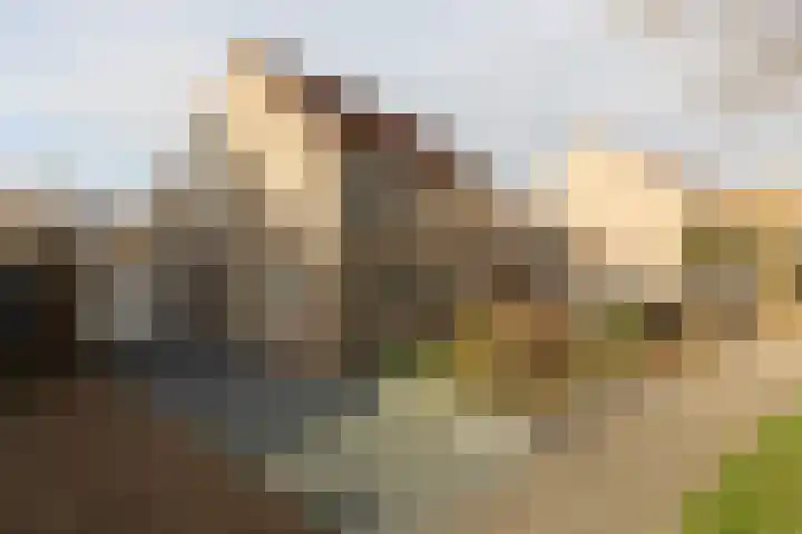 Molenkrite 129 Sneek thumbnail 39