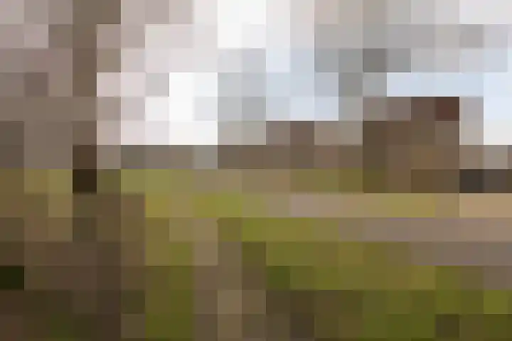 Molenkrite 129 Sneek thumbnail 42