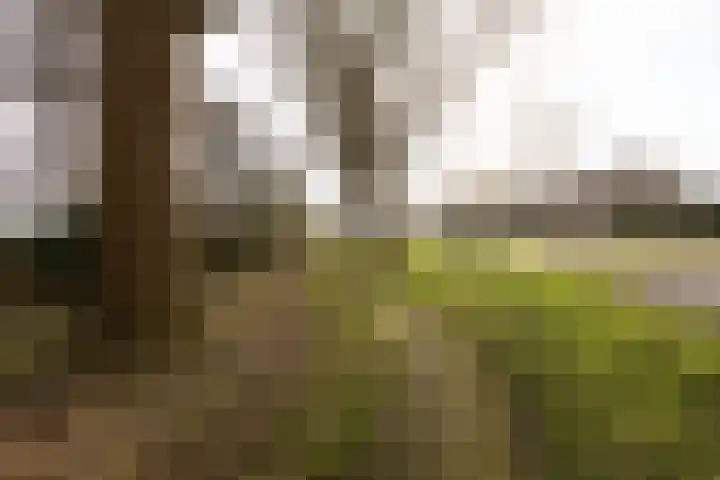 Molenkrite 129 Sneek thumbnail 43