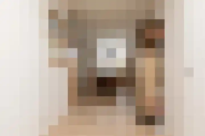 Molenkrite 129 Sneek thumbnail 7
