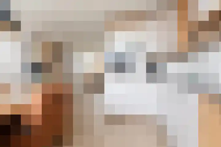 Molenkrite 129 Sneek thumbnail 9