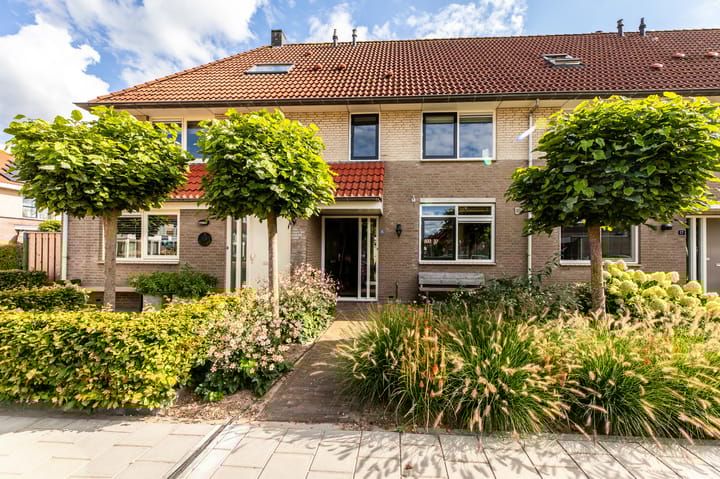 Molenlaan 15 in Groot-Ammers foto