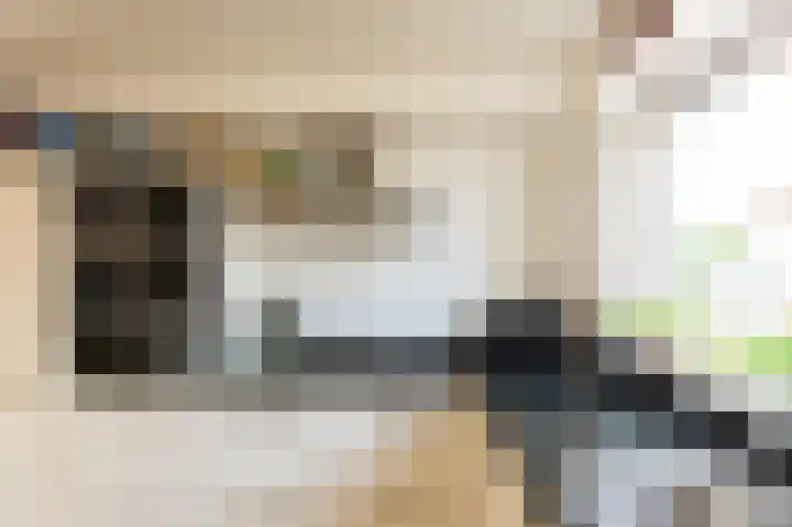 Molenlaan 15 Groot-Ammers thumbnail 14