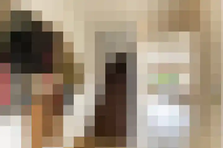 Molenlaan 15 Groot-Ammers thumbnail 16