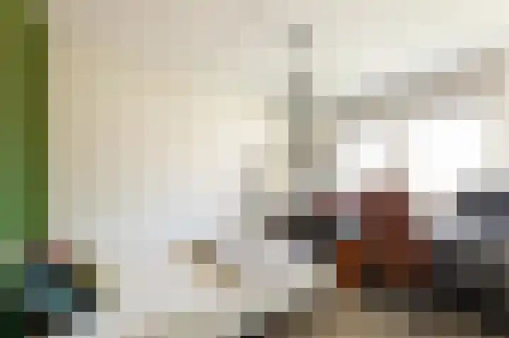 Molenlaan 15 Groot-Ammers thumbnail 23