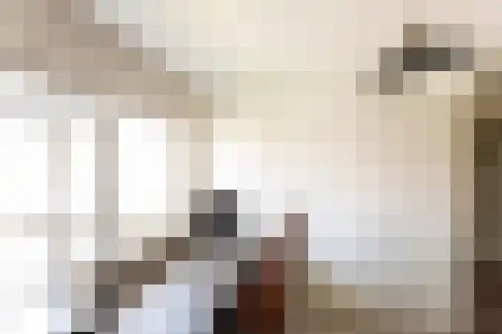 Molenlaan 15 Groot-Ammers thumbnail 24